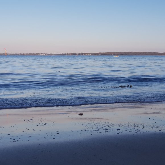 Meet your Posher, Khaled - Picture 4 of 9